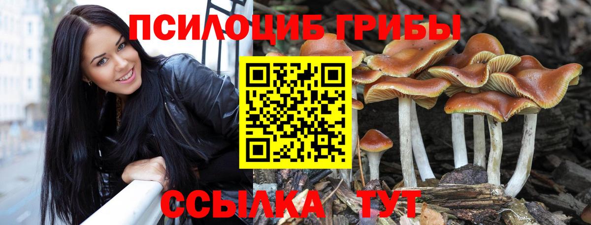 Псилоцибиновые грибы ЛСД Якутск