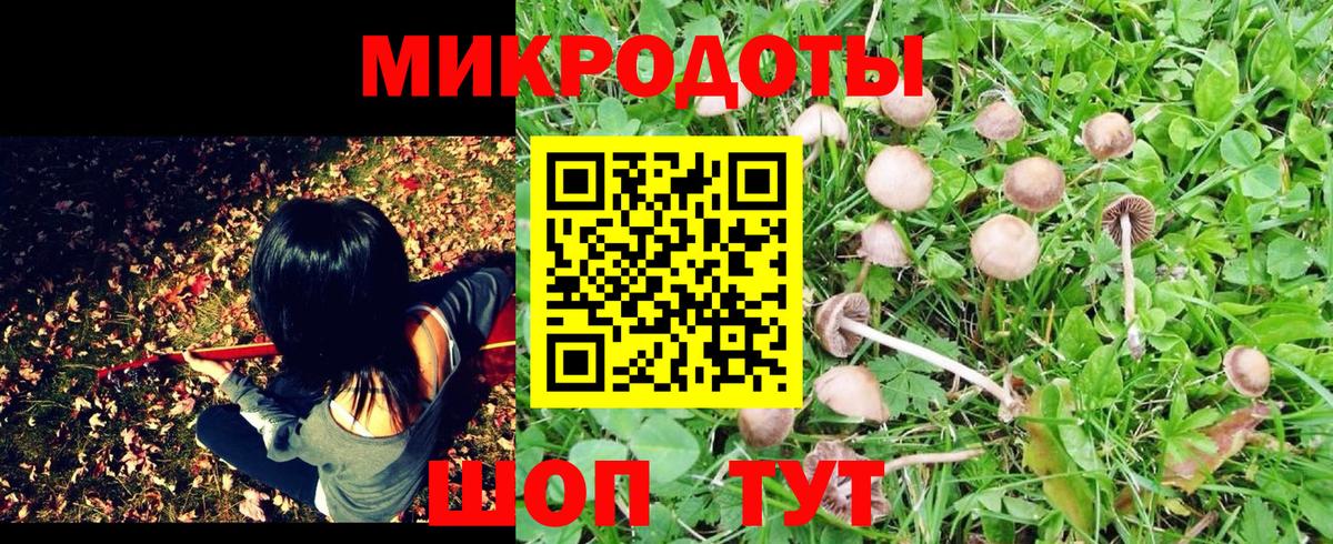 Галлюциногенные грибы ЛСД  Галлюциногенные грибы мухоморы  Вход с VPN  Якутск 